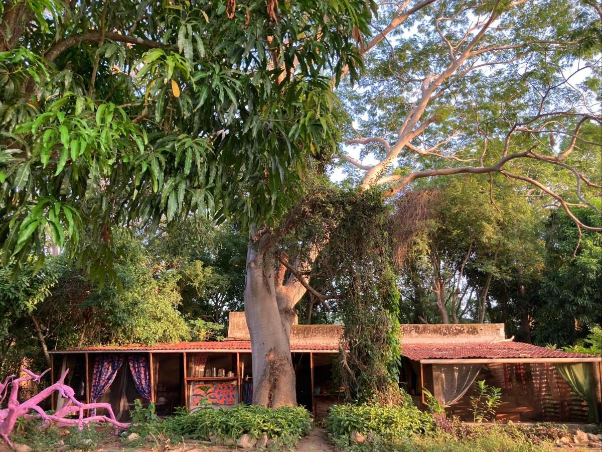 Planta Glamp Farm Hotel Santa Maria Huatulco Luaran gambar