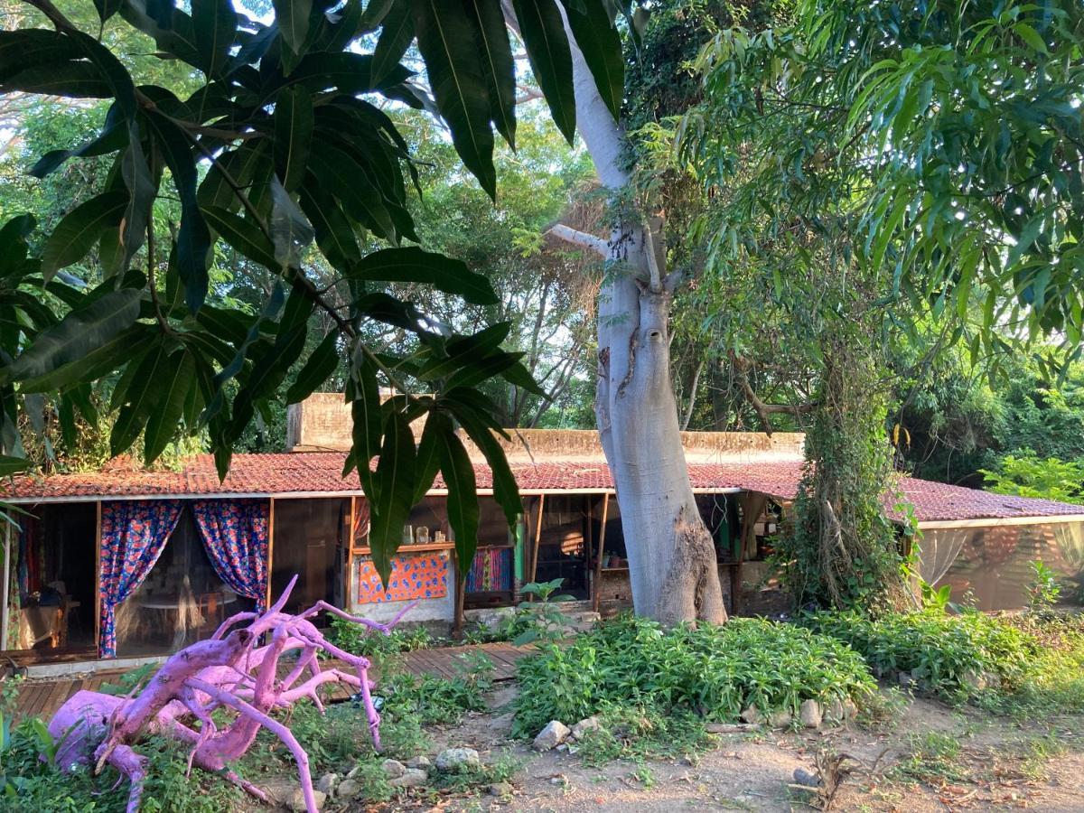 Planta Glamp Farm Hotel Santa Maria Huatulco Luaran gambar